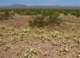imgp4028_small.jpg