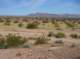 imgp4029_small.jpg