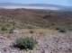 imgp4033_small.jpg