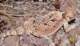 imgp4038_small.jpg