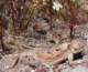 imgp4039_small.jpg