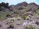 imgp4041_small.jpg
