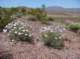 imgp4043_small.jpg