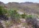 imgp4051_small.jpg