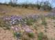 imgp4053_small.jpg