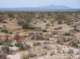 imgp4054_small.jpg