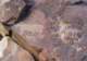 imgp4059_small.jpg
