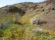 imgp4061_small.jpg