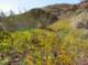 imgp4062_small.jpg