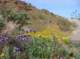 imgp4063_small.jpg