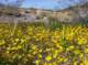 imgp4067_small.jpg