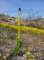 imgp4068_small.jpg