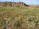 imgp4069_small.jpg