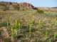 imgp4070_small.jpg