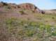 imgp4071_small.jpg