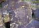 imgp4072_small.jpg