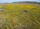 imgp4075_small.jpg
