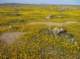 imgp4077_small.jpg