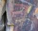 imgp4080_small.jpg