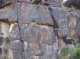 imgp4082_small.jpg