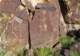 imgp4086_small.jpg