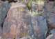 imgp4087_small.jpg
