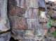 imgp4089_small.jpg