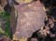 imgp4090_small.jpg