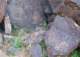imgp4095_small.jpg