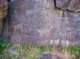 imgp4096_small.jpg