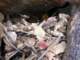 imgp4097_small.jpg