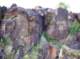 imgp4098_small.jpg