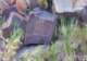 imgp4099_small.jpg