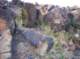 imgp4100_small.jpg