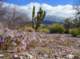 imgp4111_small.jpg