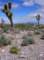 imgp4114_small.jpg