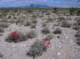imgp4116_small.jpg