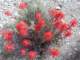 imgp4117_small.jpg