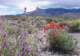 imgp4119_small.jpg