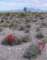 imgp4122_small.jpg