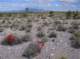 imgp4123_small.jpg