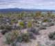 imgp4124_small.jpg