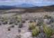 imgp4130_small.jpg