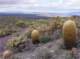 imgp4136_small.jpg