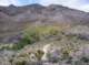 imgp4142_small.jpg