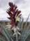 imgp4149_small.jpg