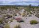 imgp4153_small.jpg