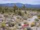 imgp4155_small.jpg