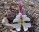 imgp4168_small.jpg