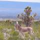 imgp4171_small.jpg